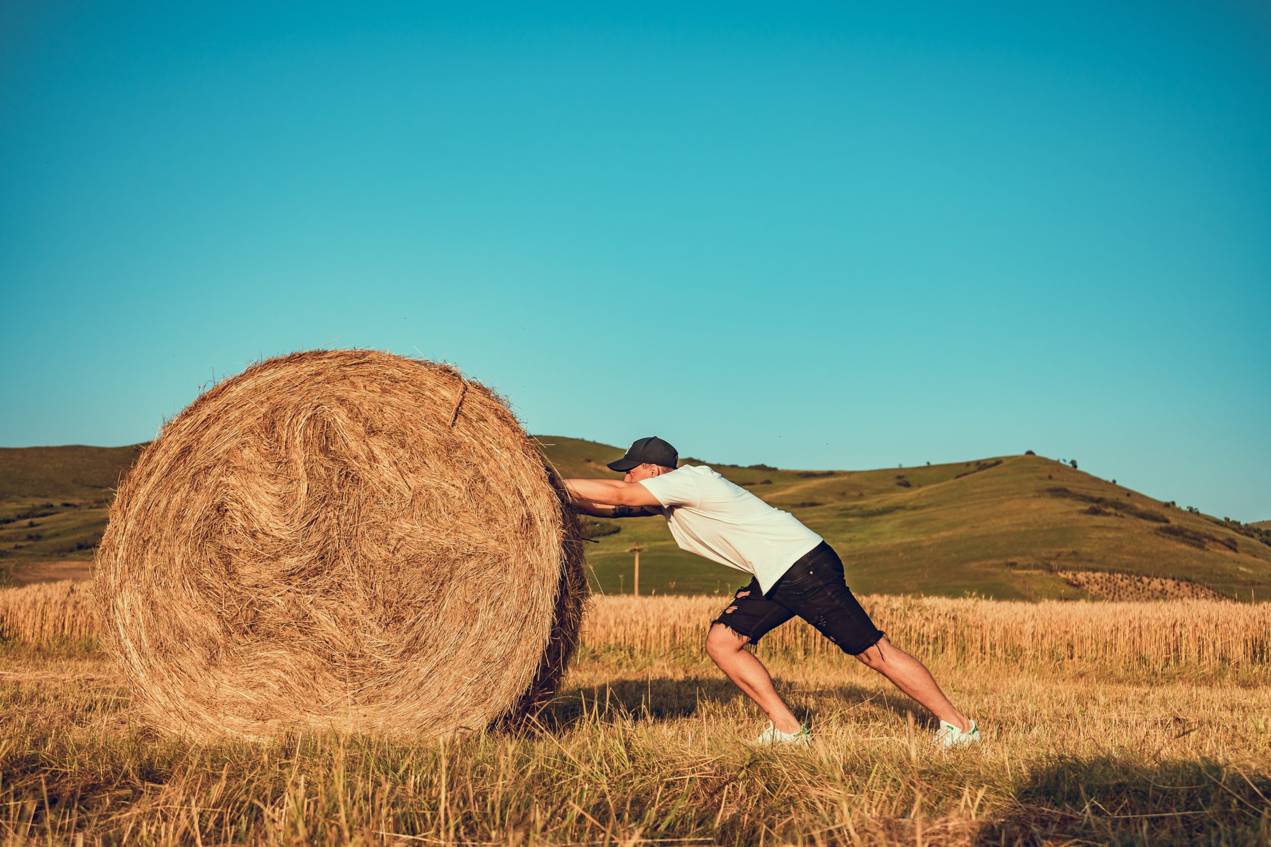 pushing hay